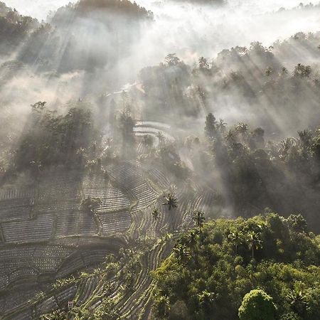 Villa Sidemen Bagian luar foto