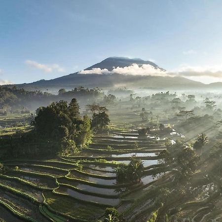 Villa Sidemen Bagian luar foto